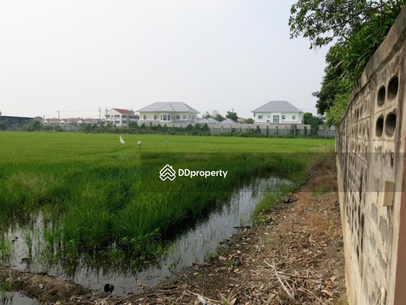 ที่ดินเปล่า4 ไร่ ทวีวัฒนา, กรุงเทพ, 22/9 Soi Thawi Watthana 19, ทวีวัฒนา, ทวีวัฒนา, กรุงเทพ, 7,584 ตร.ม., ที่ดิน ขาย, โดย Meechai Kunsan, 5403044 - DDproperty.com