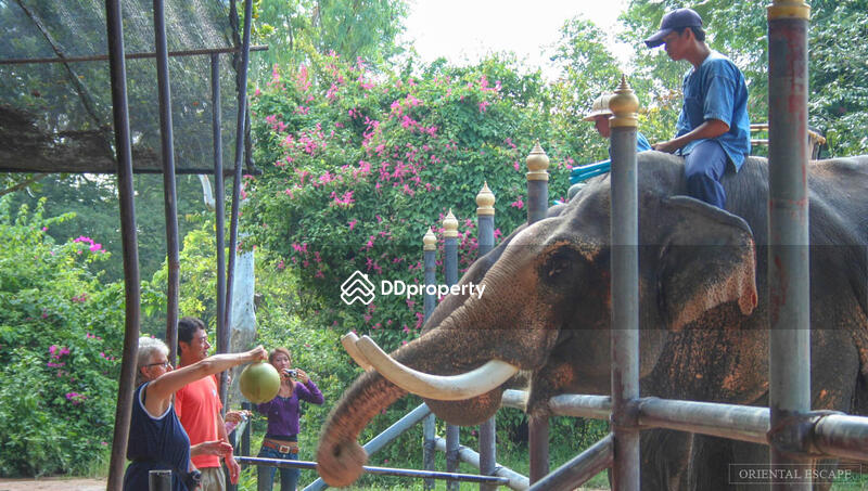 Lifestyle Townhouse near Hua Hin City in Hin Lek Fai, Prachuap Khiri Khan, Huay Mongkol Road, Hua Hin, Hua Hin, Prachuap Khiri Khan, 3 Bedrooms, 120 sqm, Townhouse For Sale, by Orachorn Khamluan, 5461805 - Elephant Village - DDproperty.com