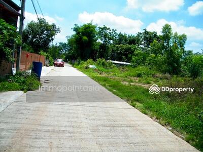 ขาย - ขายที่ดิน ต.ปรุใหญ่ อ.เมือง นครราชสีมา, นครราชสีมา