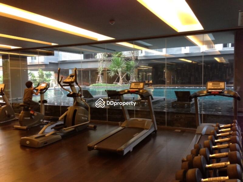 Siamese Gioia, Bangkok, Sukhumvit 31 Road, Khlong Tan Nua, Watthana, Bangkok, 1 Bedroom, 50 sqm, Condo For Sale, by Khun Sujira, 567195 - DDproperty.com