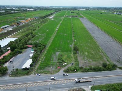 ขาย - ขายที่ดิน 42-1-29.0 ไร่ ติดถนนลำลูกกา (คลอง 9) จังหวัดปทุมธานี, ปทุมธานี