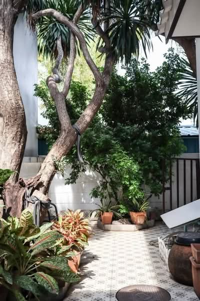 Siri House Ratchada 18, Bangkok, Soi Lat Phrao 80, Intersection 11, Wang Thonglang, Wang Thonglang, Bangkok, 10+ Bedrooms, 700 sqm, Townhouse For Sale, by JST Realty Group Co., Ltd., 60000990 - DDproperty.com