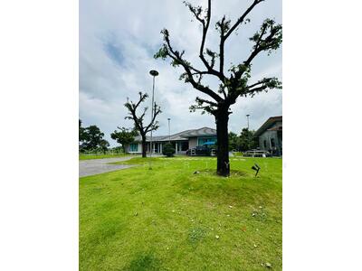 ขาย - บ้านเดี่ยวพร้อมที่ดินตะพง ระยอง, ระยอง