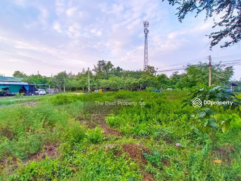 ขาย - ที่ดินกาหลง สมุทรสาคร, สมุทรสาคร
