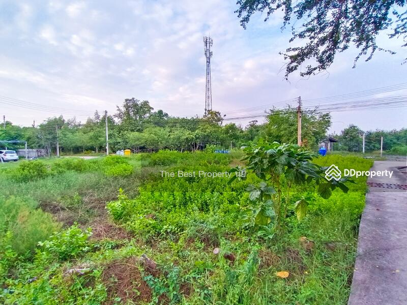 ขาย - ที่ดินกาหลง สมุทรสาคร, สมุทรสาคร