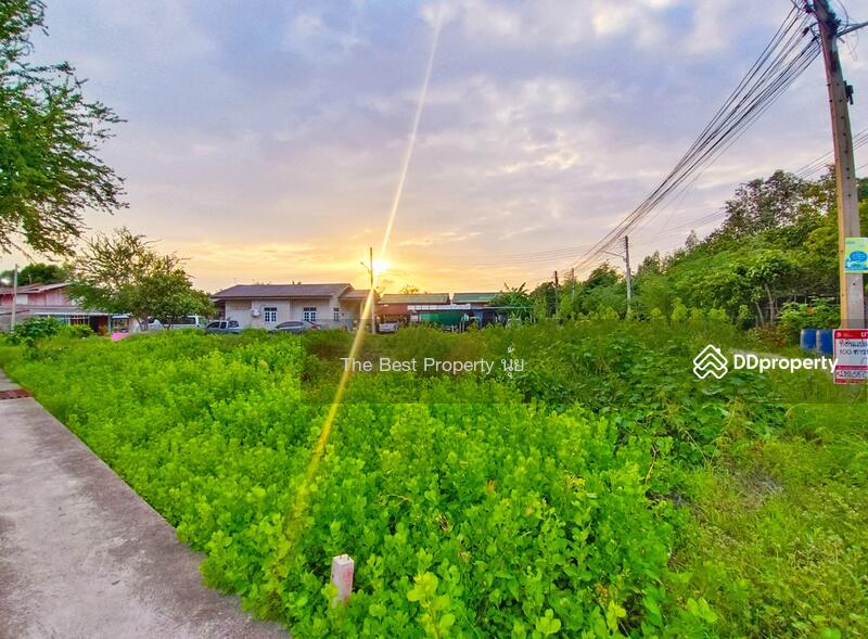 ขาย - ที่ดินกาหลง สมุทรสาคร, สมุทรสาคร