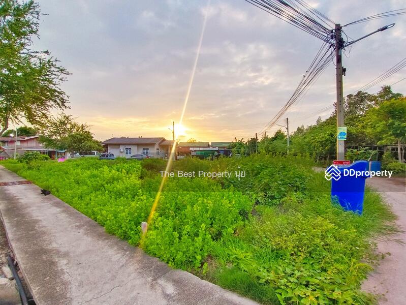 ขาย - ที่ดินกาหลง สมุทรสาคร, สมุทรสาคร