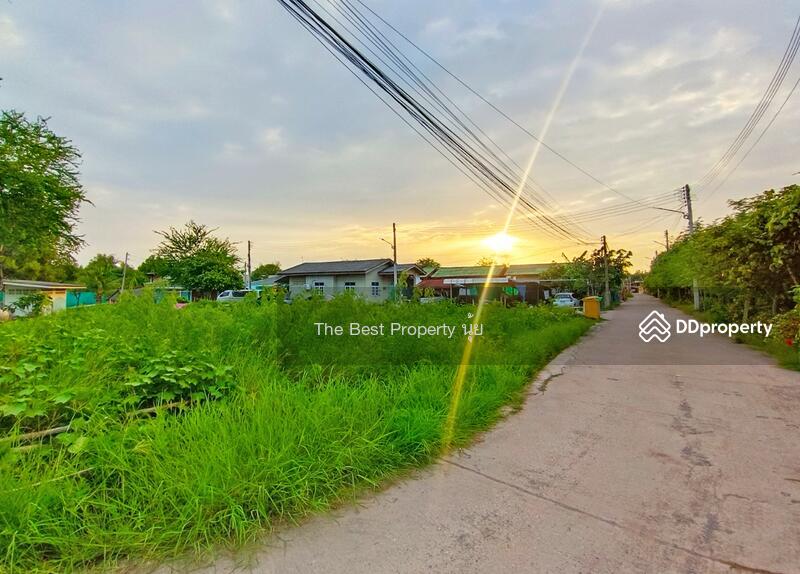 ขาย - ที่ดินกาหลง สมุทรสาคร, สมุทรสาคร