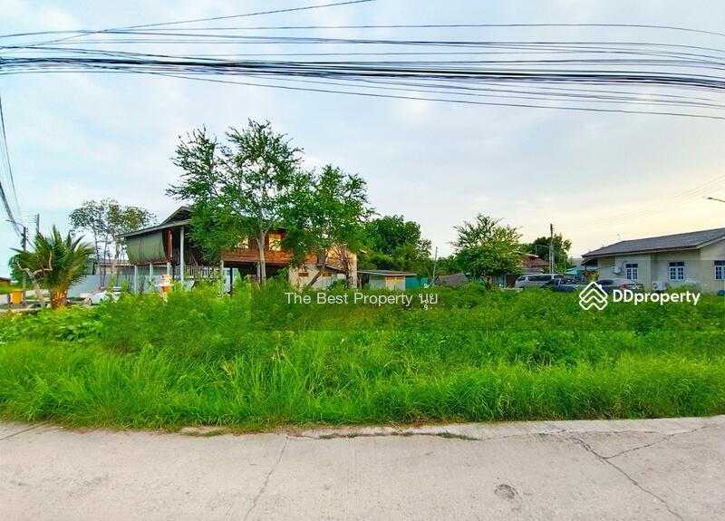 ขาย - ที่ดินกาหลง สมุทรสาคร, สมุทรสาคร