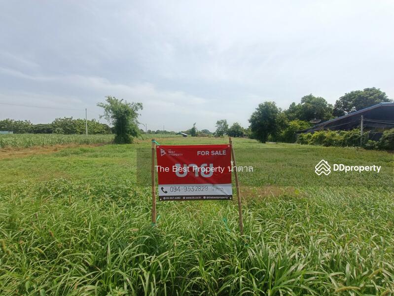 For Sale - ที่ดินโพรงมะเดื่อ นครปฐม, Nakhon Pathom