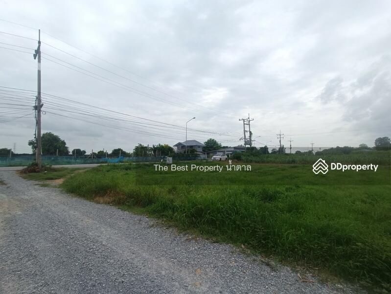 ขาย - ที่ดินโพรงมะเดื่อ นครปฐม, นครปฐม
