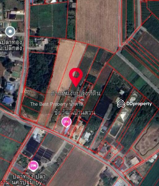 ขาย - ที่ดินโพรงมะเดื่อ นครปฐม, นครปฐม