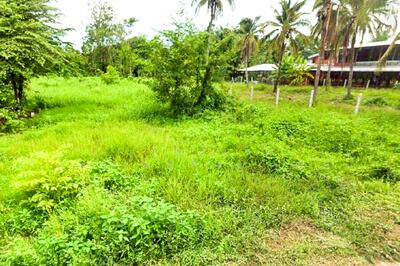 ขาย - NY-703464 ที่ดินพรหมพิราม 349 ตร.ว. พิษณุโลก ใกล้วัดบ้านซ่อง, พิษณุโลก