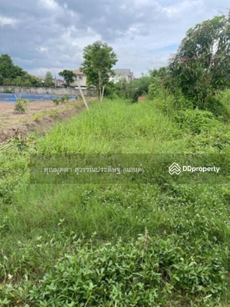 ขาย - 92667 - ขายที่ดินพร้อมบ้านเลขที่ 8/8 ม.8 ต.บางรักพัฒนา อ.บางบัวทอง จ.นนทบุรี, นนทบุรี