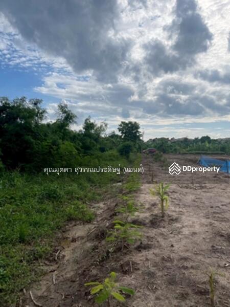 ขาย - 92667 - ขายที่ดินพร้อมบ้านเลขที่ 8/8 ม.8 ต.บางรักพัฒนา อ.บางบัวทอง จ.นนทบุรี, นนทบุรี