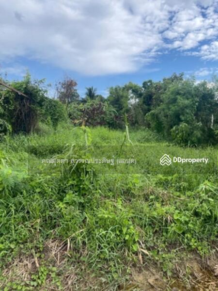 ขาย - 92667 - ขายที่ดินพร้อมบ้านเลขที่ 8/8 ม.8 ต.บางรักพัฒนา อ.บางบัวทอง จ.นนทบุรี, นนทบุรี