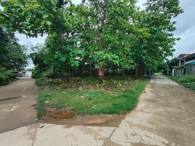 ขาย - ที่ดินท่าเสา อุตรดิตถ์, อุตรดิตถ์