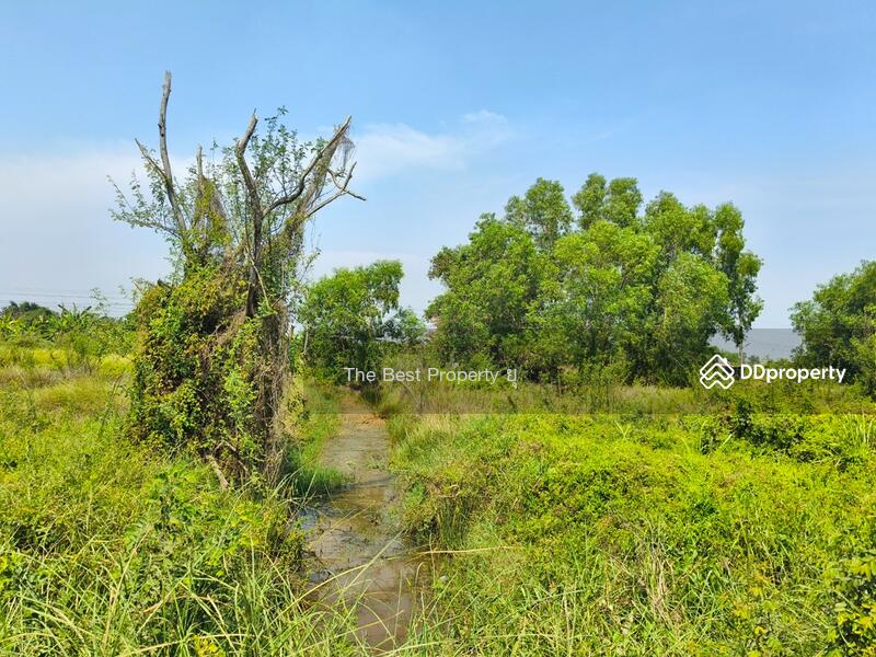 ขาย - ที่ดินองครักษ์ นครนายก, นครนายก