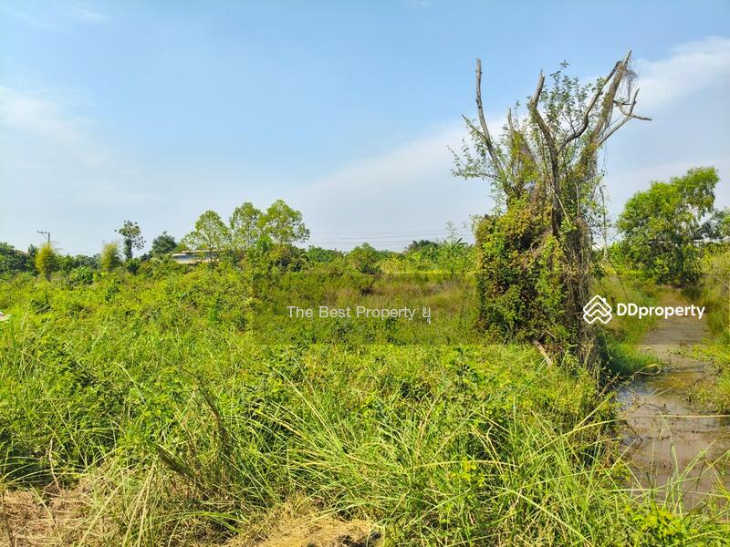 ขาย - ที่ดินองครักษ์ นครนายก, นครนายก
