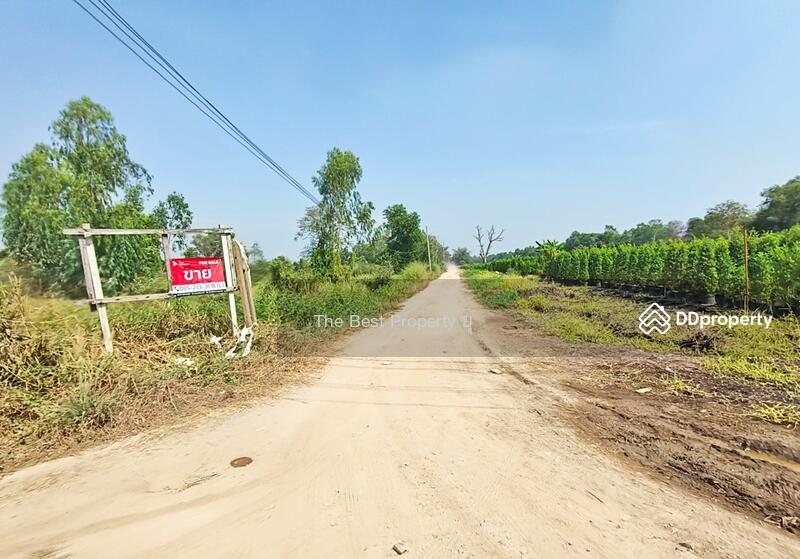 ขาย - ที่ดินองครักษ์ นครนายก, นครนายก