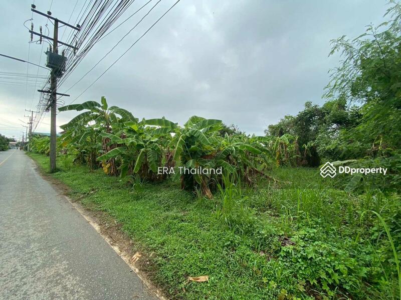 ขาย - ขายที่ดินเปล่า หลังโรงเรียนสะพาน3 2 งาน 98 ตร.ว. จ.พิษณุโลก, พิษณุโลก