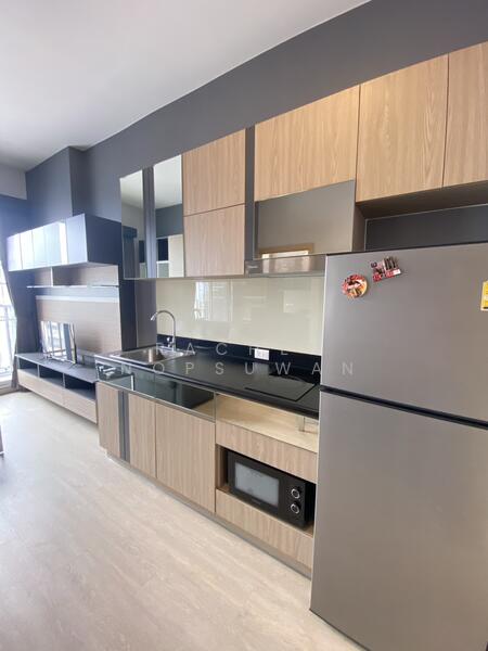 ให้เช่า - Plus Connect Hatyai : พลัส คอนเน็กซ์ หาดใหญ่, สงขลา