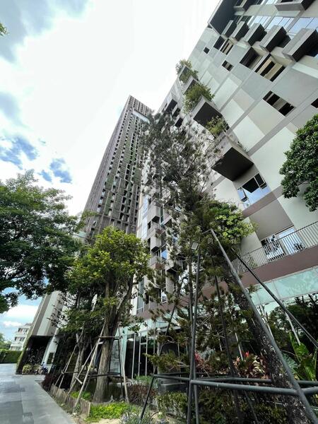 IDEO Morph 38, Bangkok, 88 Sukhumvit Road, Phra Kanong, Khlong Toei, Bangkok, 1 Bedroom, 35 sqm, Condo For Rent, by Rattapon Sivamok, 60003574 - DDproperty.com