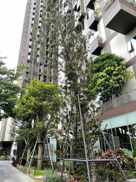 IDEO Morph 38, Bangkok, 88 Sukhumvit Road, Phra Kanong, Khlong Toei, Bangkok, 1 Bedroom, 35 sqm, Condo For Rent, by Rattapon Sivamok, 60003574 - DDproperty.com