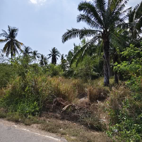 สัตหีบฝั่งเขา ตำบลสัตหีบ อำเภอสัตหีบ จังหวัดชลบุรี, Chon Buri (Pattaya), สัตหีบ, Sattahip, Sattahip, Chon Buri (Pattaya), , 3,200 sqm, Land For Sale, by Nichapa Phiachan, 60005630 - DDproperty.com