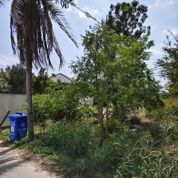 สัตหีบฝั่งเขา ตำบลสัตหีบ อำเภอสัตหีบ จังหวัดชลบุรี, Chon Buri (Pattaya), สัตหีบ, Sattahip, Sattahip, Chon Buri (Pattaya), , 3,200 sqm, Land For Sale, by Nichapa Phiachan, 60005630 - DDproperty.com