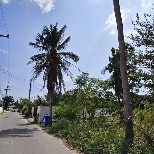 สัตหีบฝั่งเขา ตำบลสัตหีบ อำเภอสัตหีบ จังหวัดชลบุรี, ชลบุรี, สัตหีบ, สัตหีบ, สัตหีบ, ชลบุรี, 3,200 ตร.ม., ที่ดิน ขาย, โดย ณิชาภา (คุณดาว) เพียจันทร์, 60005630 - DDproperty.com