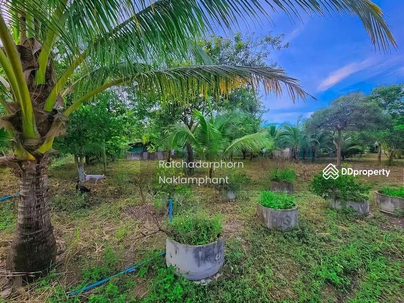 For Sale - Ko Lak, Prachuap Khiri Khan