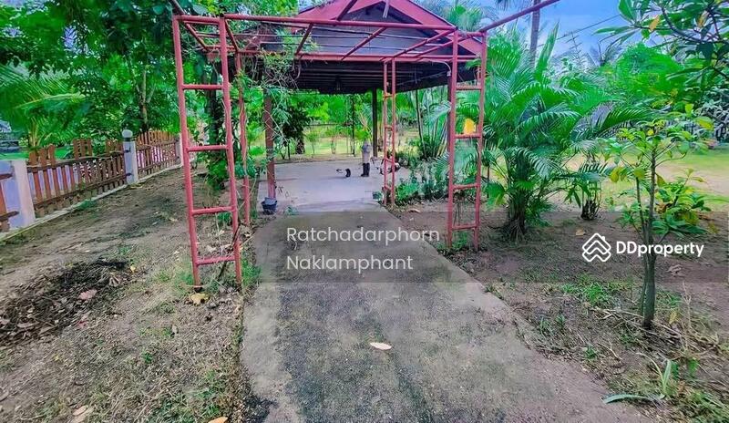 ขาย - Ko Lak, ประจวบคีรีขันธ์