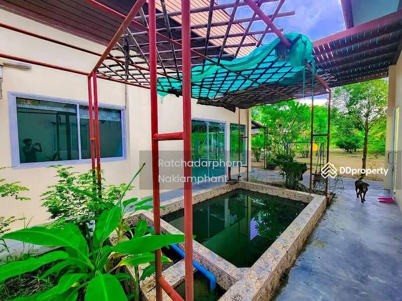 ขาย - Ko Lak, ประจวบคีรีขันธ์