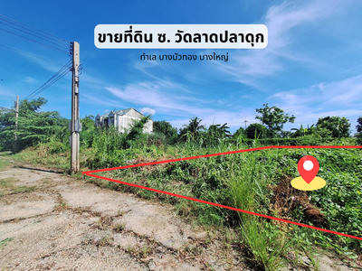 ขาย - ที่ดินเปล่า บางบัวทอง 100ตร.ว. ใกล้เซ็นทรัลเวสเกต 15 นาที แปลงสวย ริมในสุด เหมาะปลูกบ้าน โกดัง, นนทบุรี