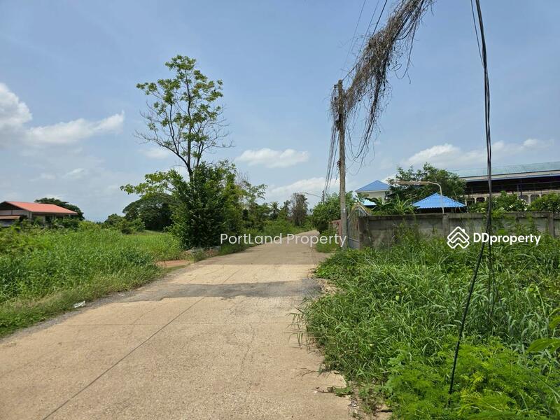 ขาย - ขายที่ดิน ที่สวย ทำเลดี ถมแล้ว ขายถูก ติดถนนด้านข้างโรงเรียนอนุบาลแห่งที่ 2, อุตรดิตถ์