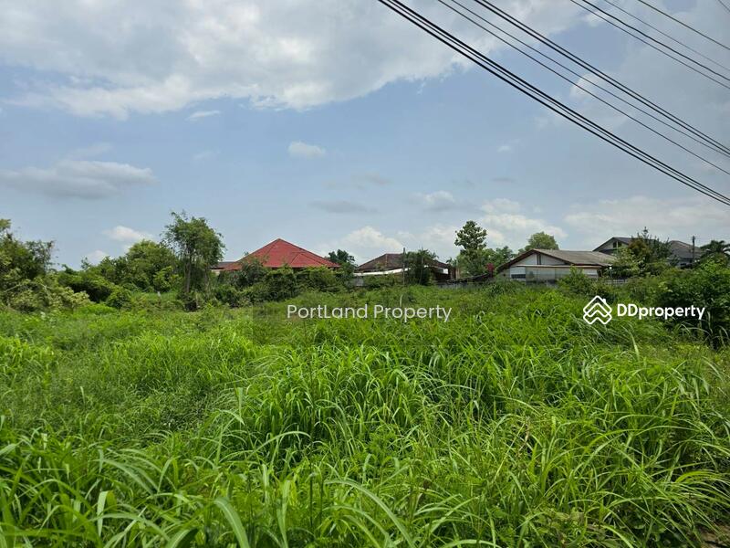 ขาย - ขายที่ดิน ที่สวย ทำเลดี ถมแล้ว ขายถูก ติดถนนด้านข้างโรงเรียนอนุบาลแห่งที่ 2, อุตรดิตถ์