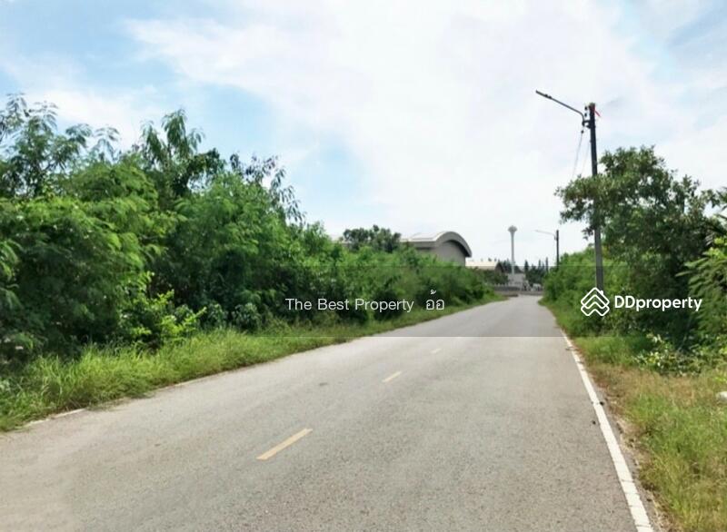 ขาย - ที่ดินคลองโคน สมุทรสงคราม, สมุทรสงคราม