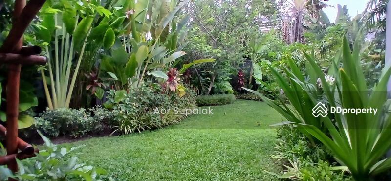 For Rent - Detached 4 bedroom House with large garden and pool for rent, Bangkok