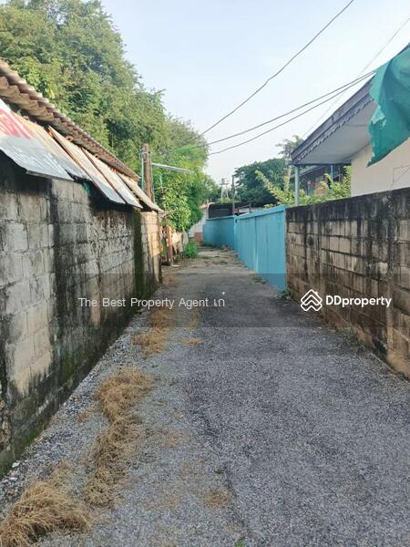 ขาย - บ้านเดี่ยวป่าตัน เชียงใหม่, เชียงใหม่