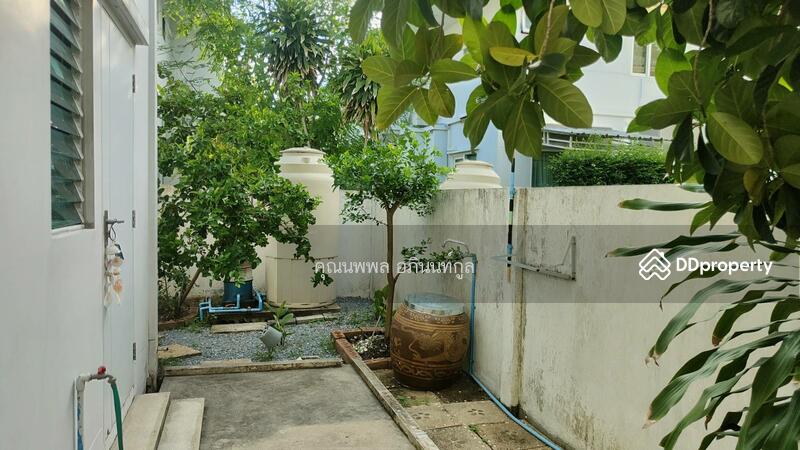 ให้เช่า - Chaiyapruk Pinklao-Sai 5 : บ้านชัยพฤกษ์ ปิ่นเกล้า-สาย 5, นครปฐม