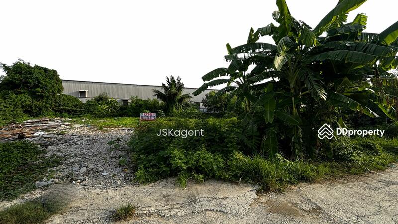 ขาย - ที่ดินเปล่า ถมแล้ว 90 ตร.วา ซอยลาซาล 52 แยก 2(JSK0031), กรุงเทพ