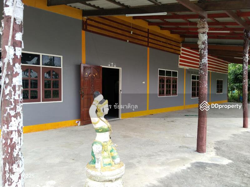 ขายที่ดิน สวนมะพร้าวและมะม่วงพร้อมบ้านพัก จ.ประจวบคีรีขันธ์