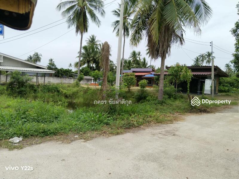 ขายที่ดิน สวนมะพร้าวและมะม่วงพร้อมบ้านพัก จ.ประจวบคีรีขันธ์