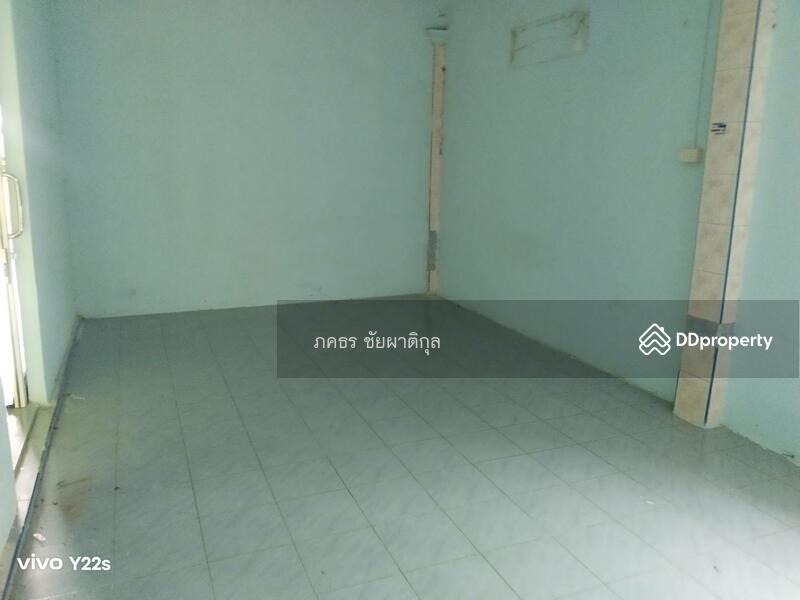 ขายที่ดิน สวนมะพร้าวและมะม่วงพร้อมบ้านพัก จ.ประจวบคีรีขันธ์