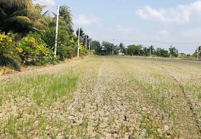 ขาย - ขายที่ดิน 100 ตรว.ซอยวัดบัวโรย ทำเลดี ติดถนนหลัก เข้าซอย 50 เมตร, สมุทรปราการ