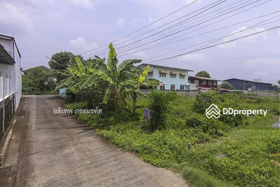 ขาย - ที่ดินซอยจามร 31/3, ปทุมธานี