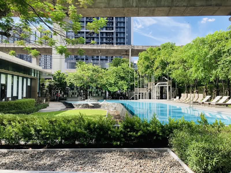 The Base Garden Rama 9, Bangkok, 18 Rama 9 Road, Hua Mak, Bang Kapi, Bangkok, 1 Bedroom, 32 sqm, Condo For Rent, by CS Poon, 60008277 - DDproperty.com