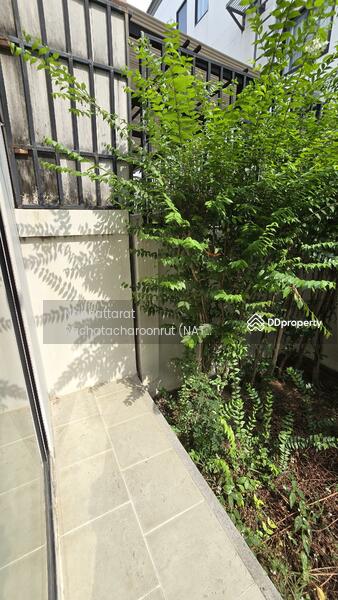 ให้เช่า - Villa Albero Rama 9 : วิลลา อาเบลโล่ พระราม 9, กรุงเทพ