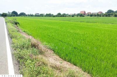 ขาย - YG-914535 ที่ดินไทรน้อย 200 ตร.ว. นนทบุรี ใกล้วัดปลายคลองขุนศรี, นนทบุรี